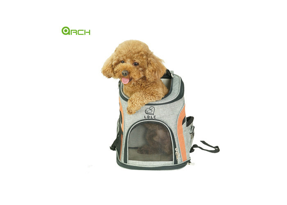 Pet Carrier in Backpack Style