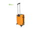 ABS Organizational  Double Spinner Hard Carry On Suitcase