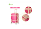 Double Spinner  ABS Hard Shell Cabin Case Pink With Binding Belts