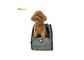 Spacious Pet Carrier Bag with Backpack Function